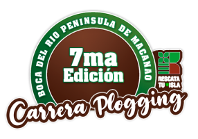 logo-pluggingpq logo-pluggingpq